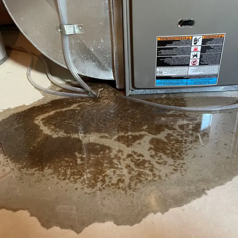 Pipe Burst and Leak Restoration in Sun City West, AZ